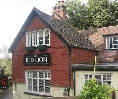 The Red Lion Ξενοδοχείο Betchworth Εξωτερικό φωτογραφία